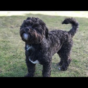 Meet your Posher, Tania